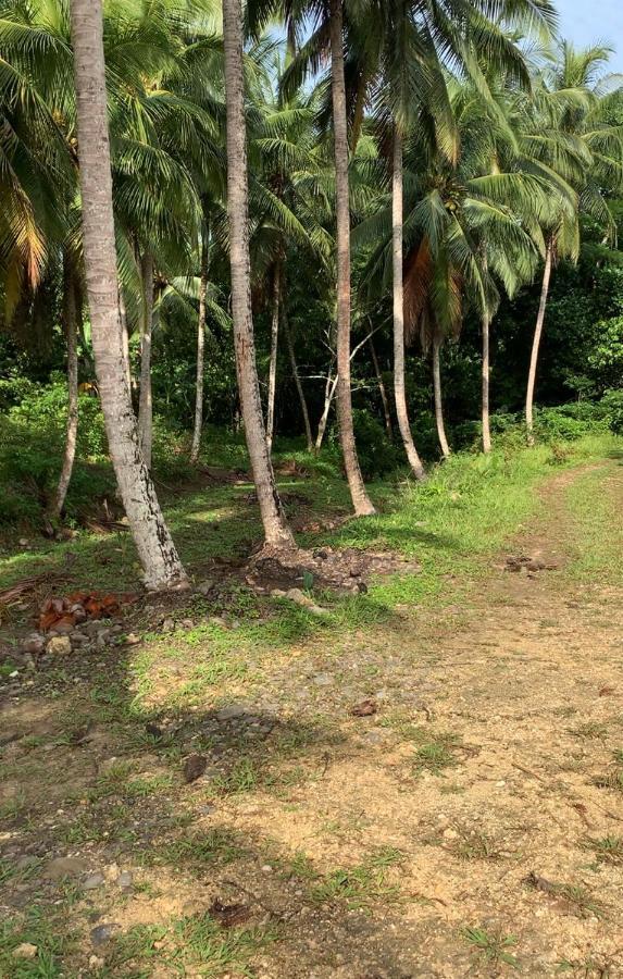 Oracabessa Green Queendom Farm And Lodging מראה חיצוני תמונה