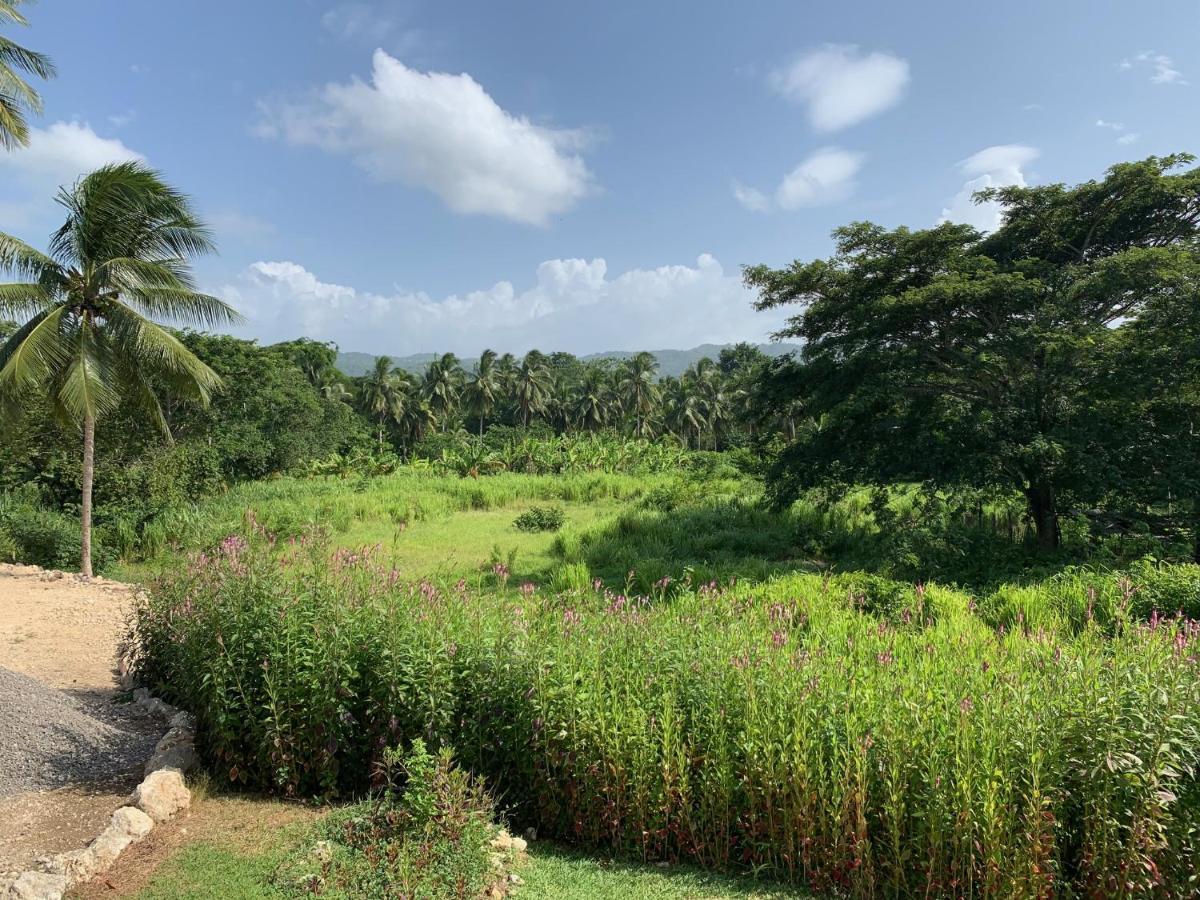 Oracabessa Green Queendom Farm And Lodging מראה חיצוני תמונה