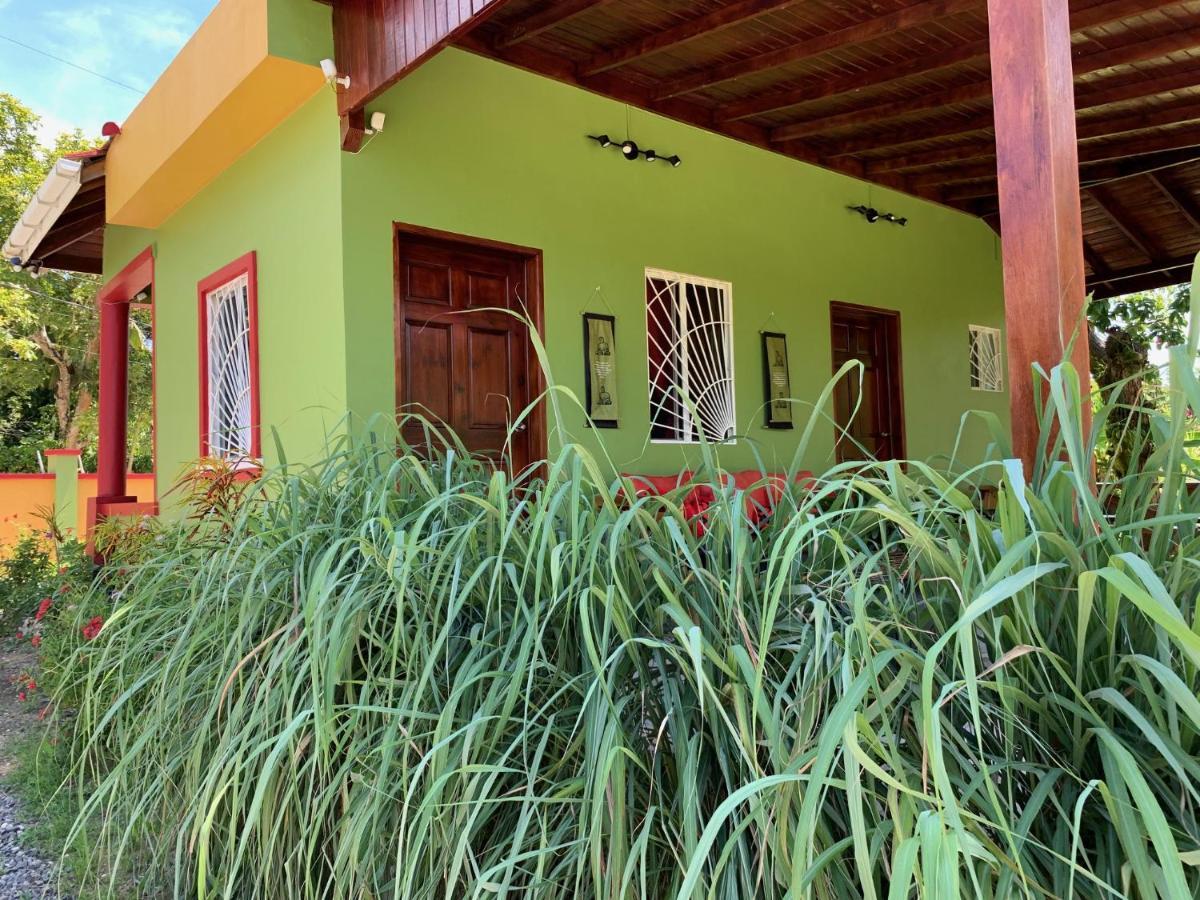 Oracabessa Green Queendom Farm And Lodging מראה חיצוני תמונה